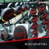 Advance iFitness - Dumbbell + Rack + Chair SET 2A - Image 2